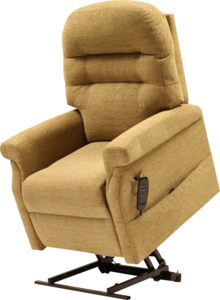 Petite Dual Style Upholstered