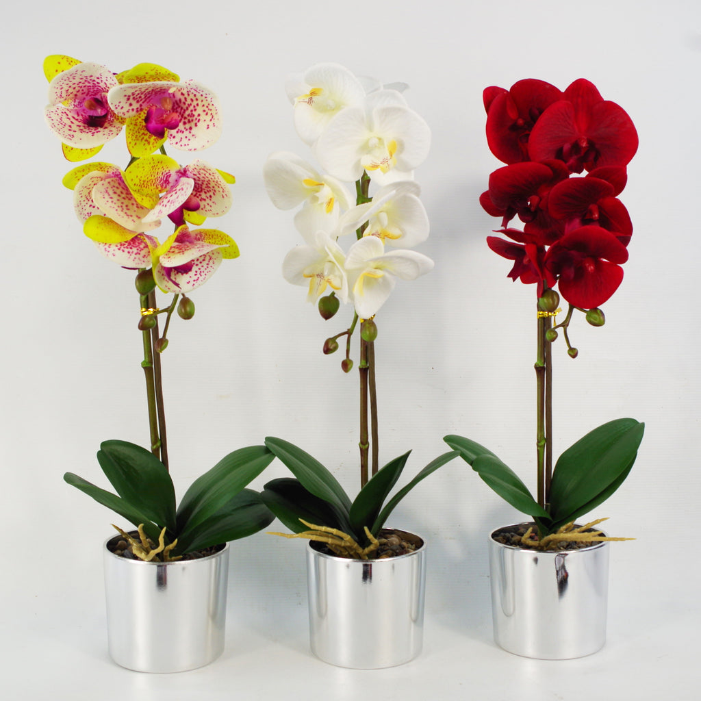 46cm Artificial Orchid White with Silver Pot