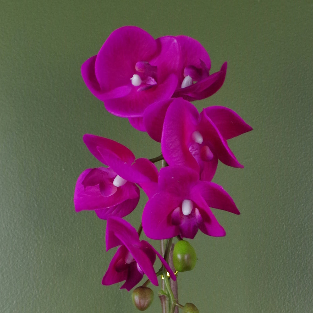 46cm Artificial Orchid Dark Pink / Silver