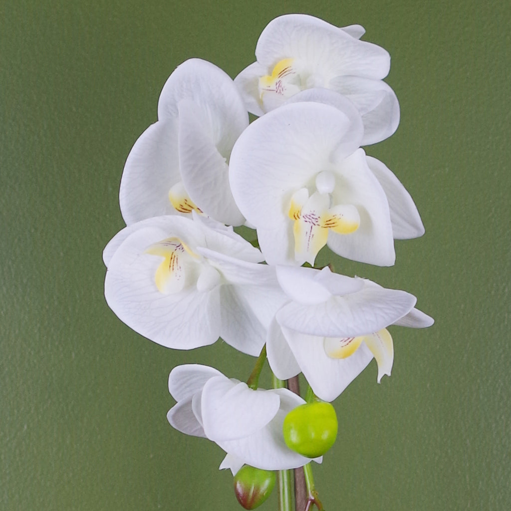 46cm Artificial Orchid Dark White / Silver