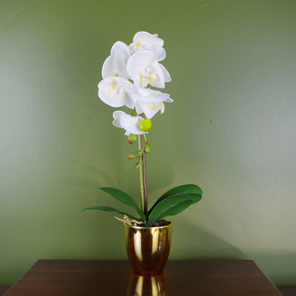 46cm Artificial Orchid Dark White / Silver