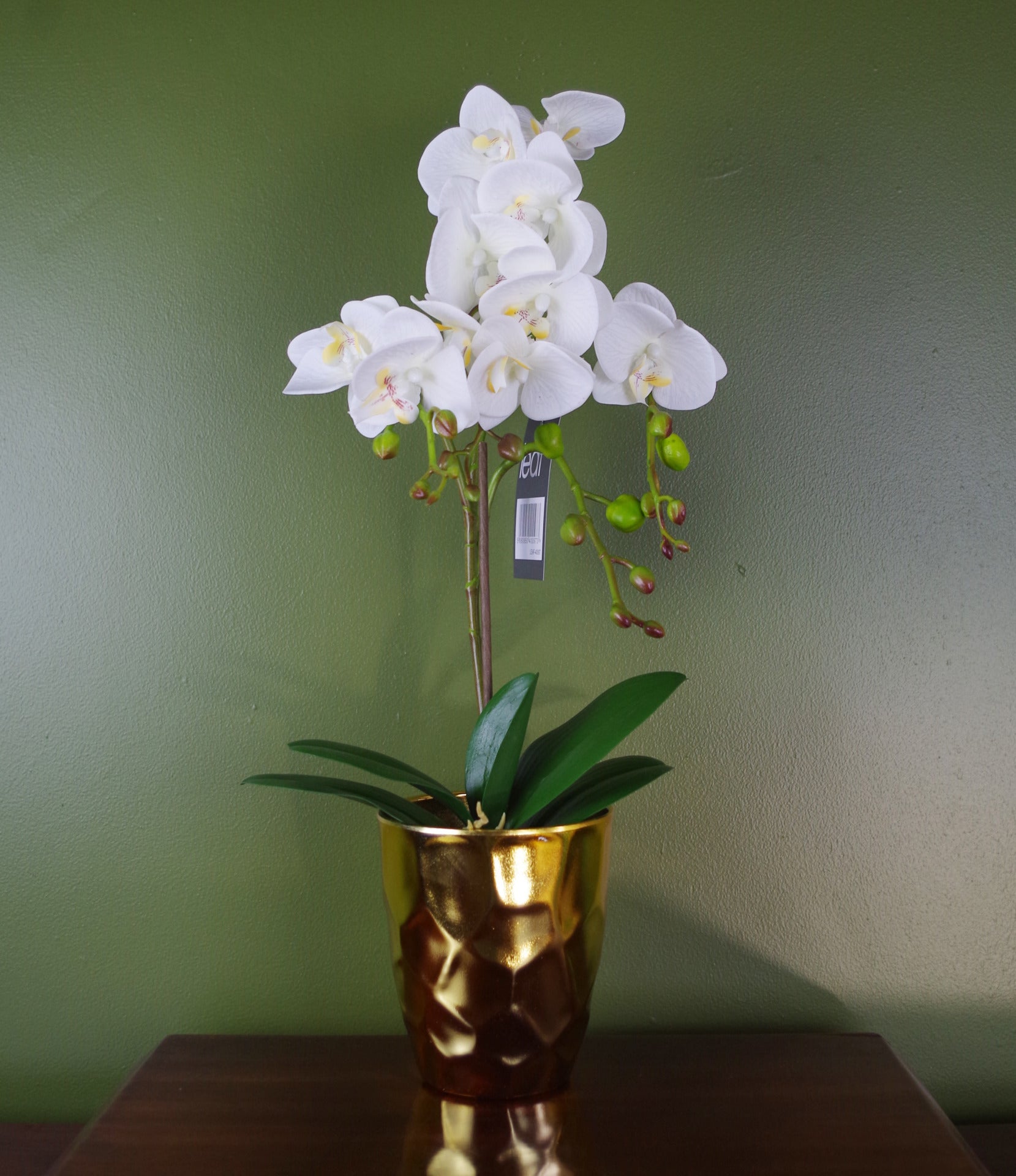 54cm Artificial Orchid Plant - White with Gold Pot