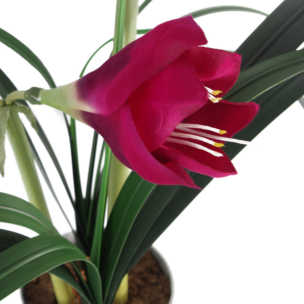 60cm Artificial Amarylis Pink