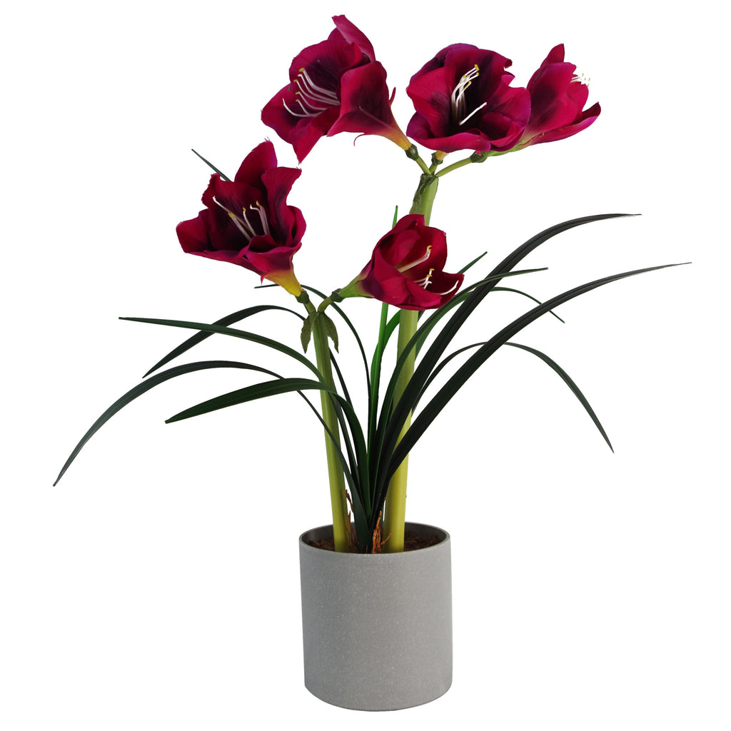60cm Artificial Amarylis Pink