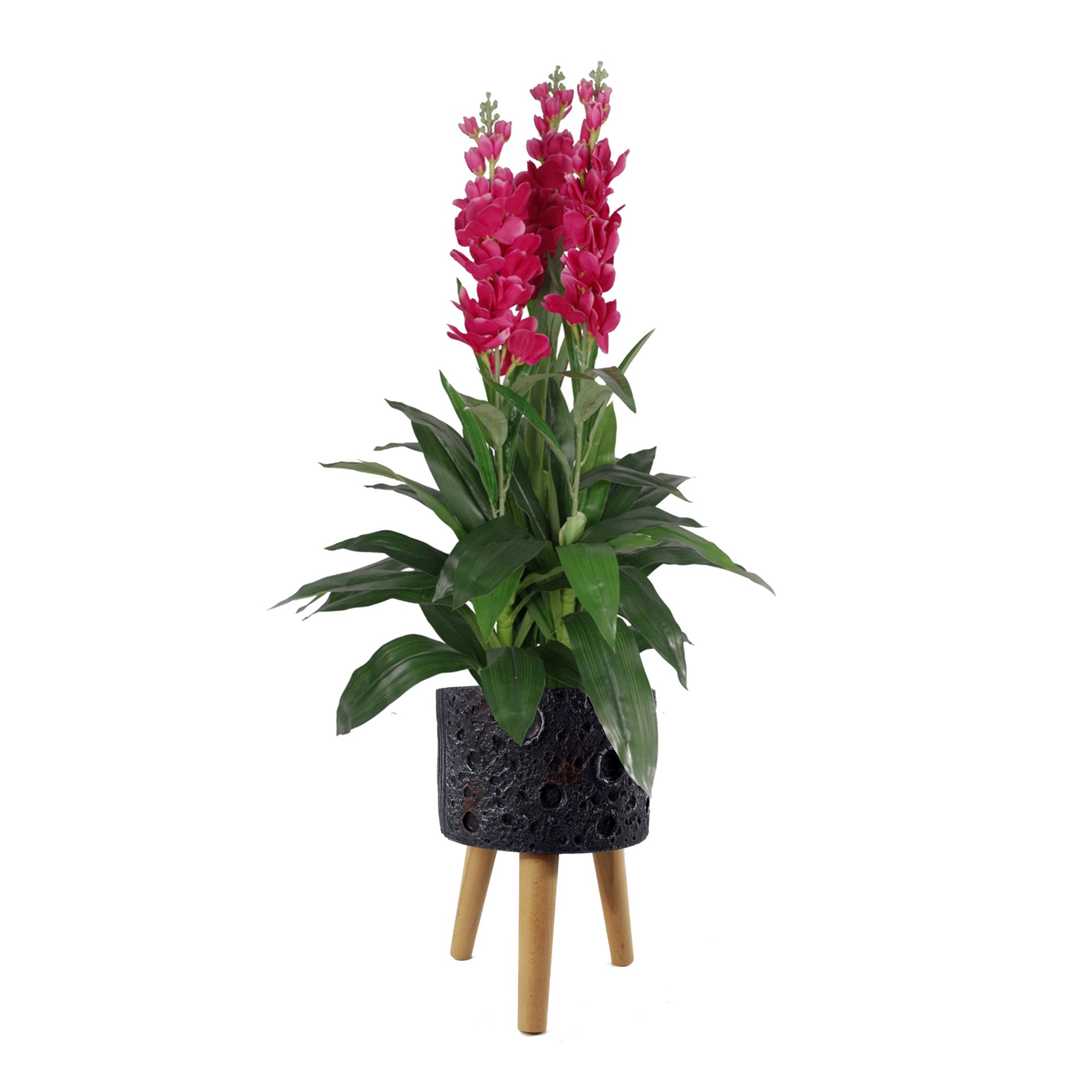 Moon Black Planter with Stand