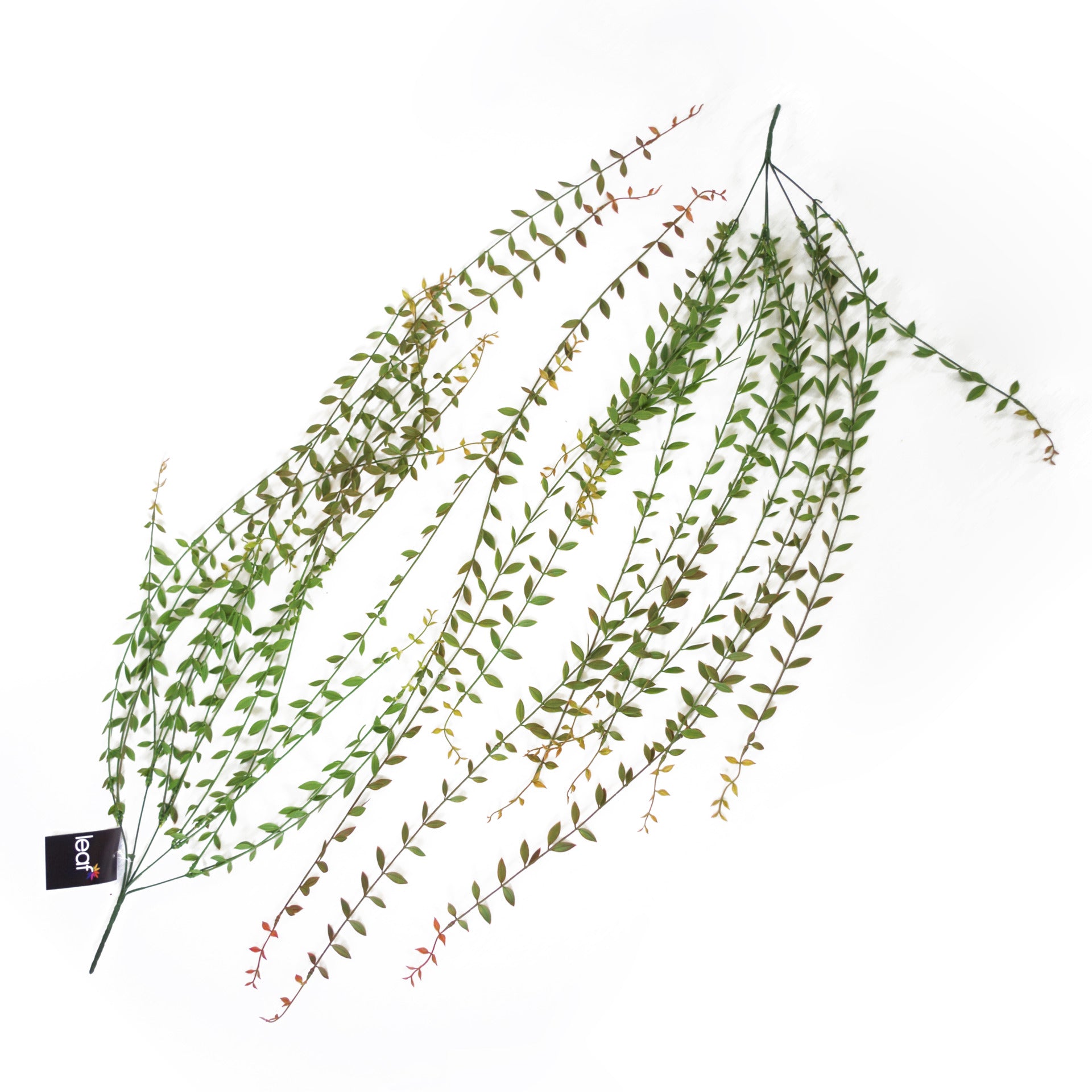 Pack of 12 x 120cm Artificial Hanging String of Pearls