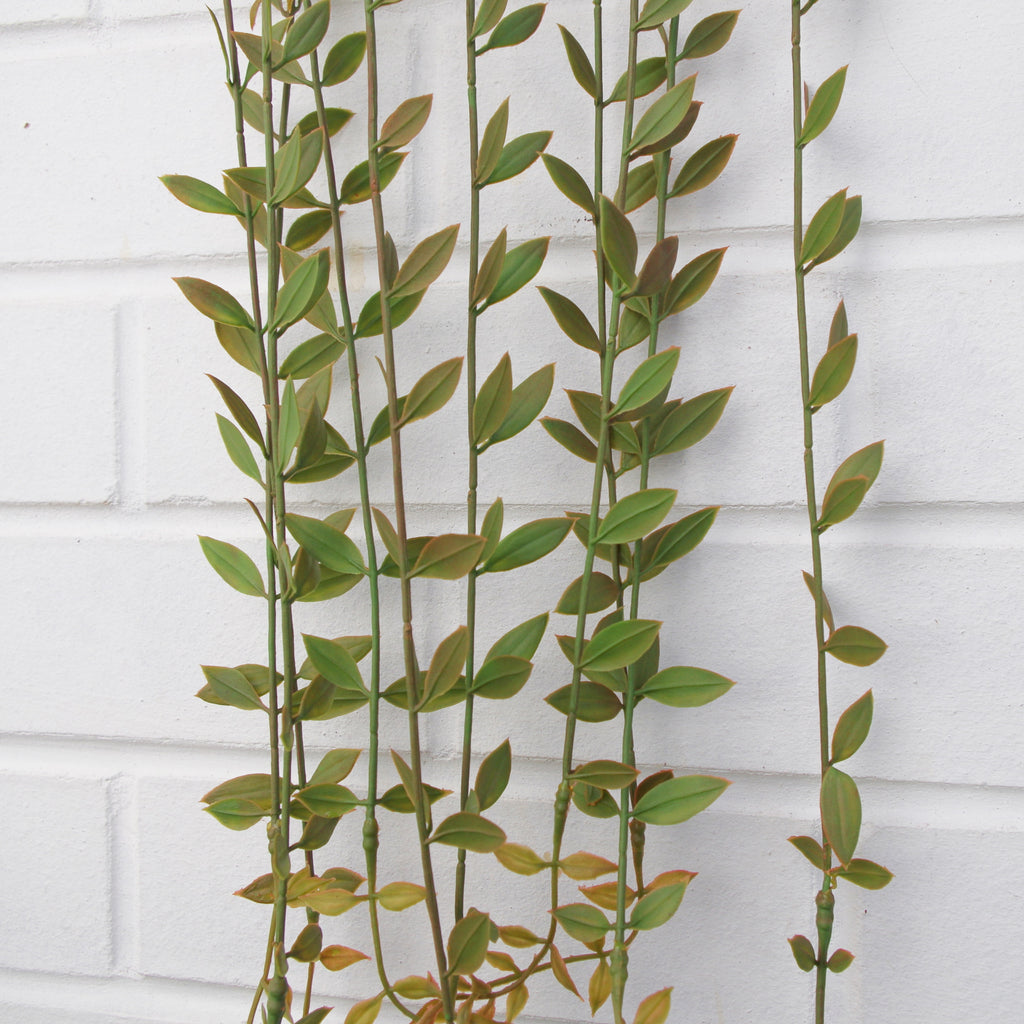 Pack of 12 x 120cm Artificial Hanging String of Pearls