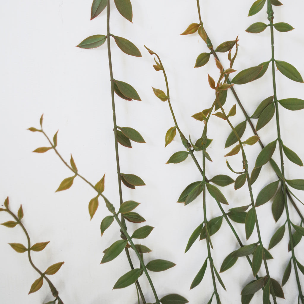 120cm Artificial Hanging String of Pearls