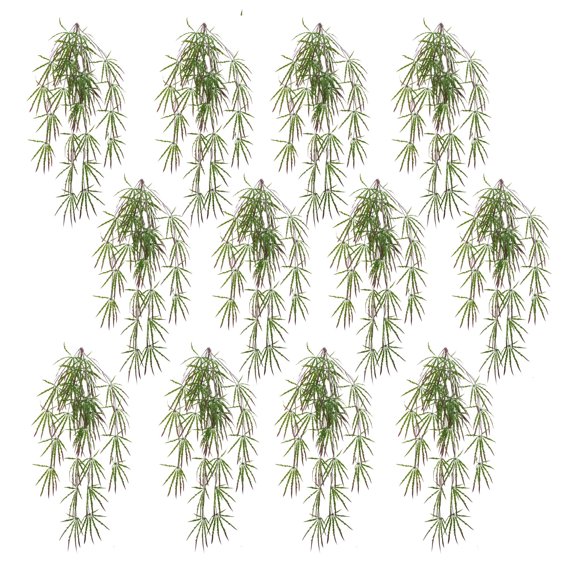 Pack of 12 x 100cm Artificial Hanging Acer Spider Plant