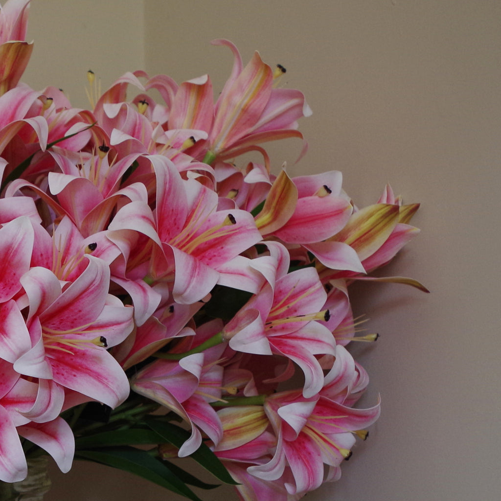 60cm Artificial Lily Stem Pink