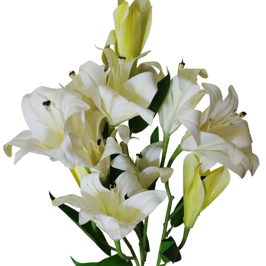 60cm Artificial Lily Stem White