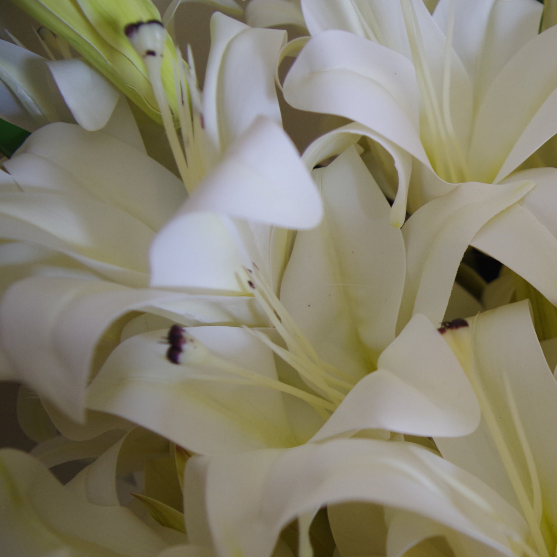 12 x 60cm Artificial Lily Stem - White - 144 Flowers