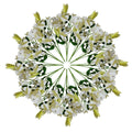 12 x 60cm Artificial Lily Stem - White - 144 Flowers