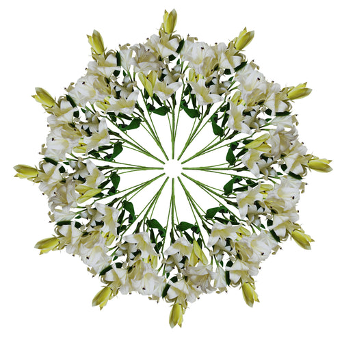12 x 60cm Artificial Lily Stem - White - 144 Flowers