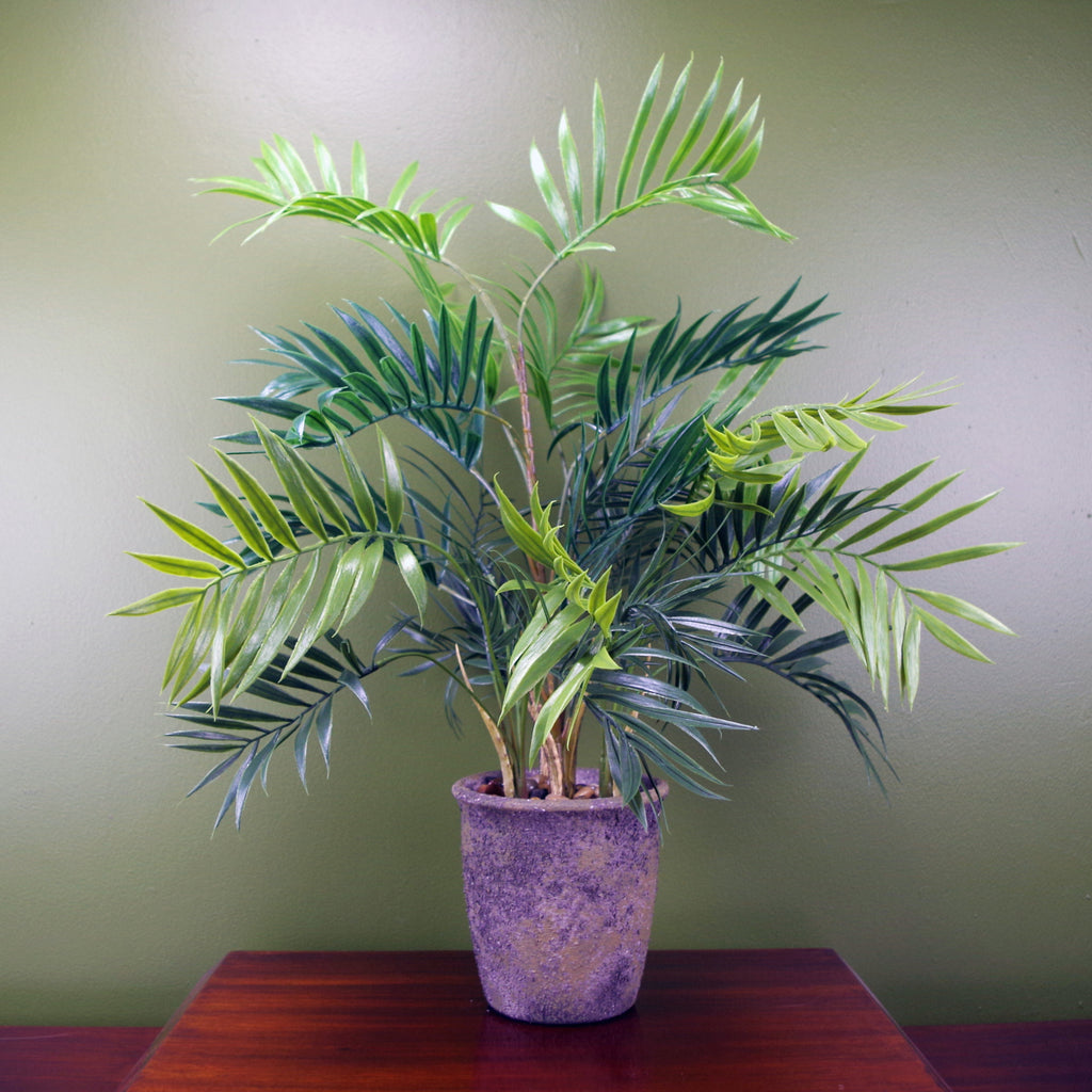60cm Artificial Mini Tropical Palm in Decorative Planter