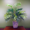 60cm Artificial Mini Tropical Palm in Decorative Planter