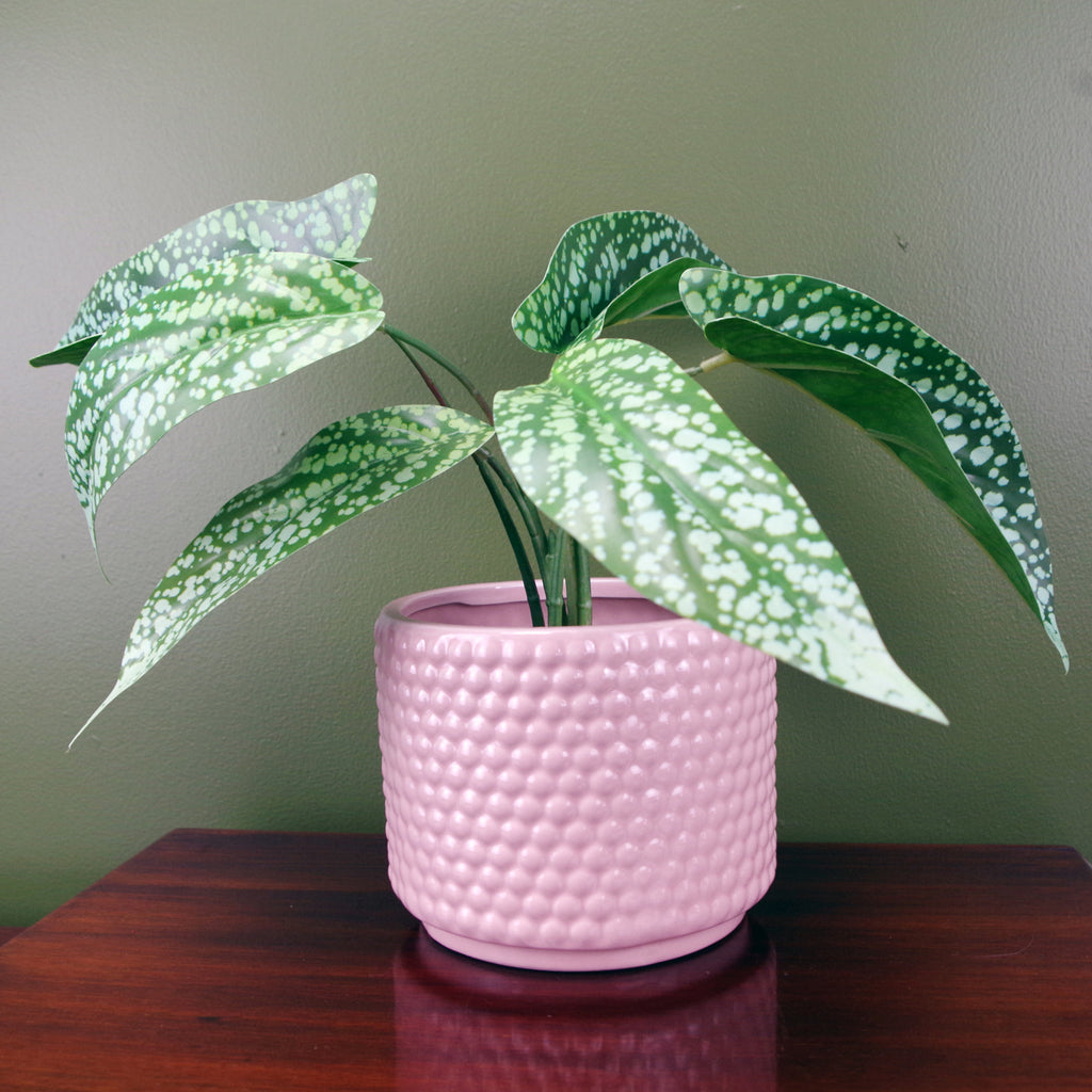 35cm Artificial Spotted Leopard Plant in Planter