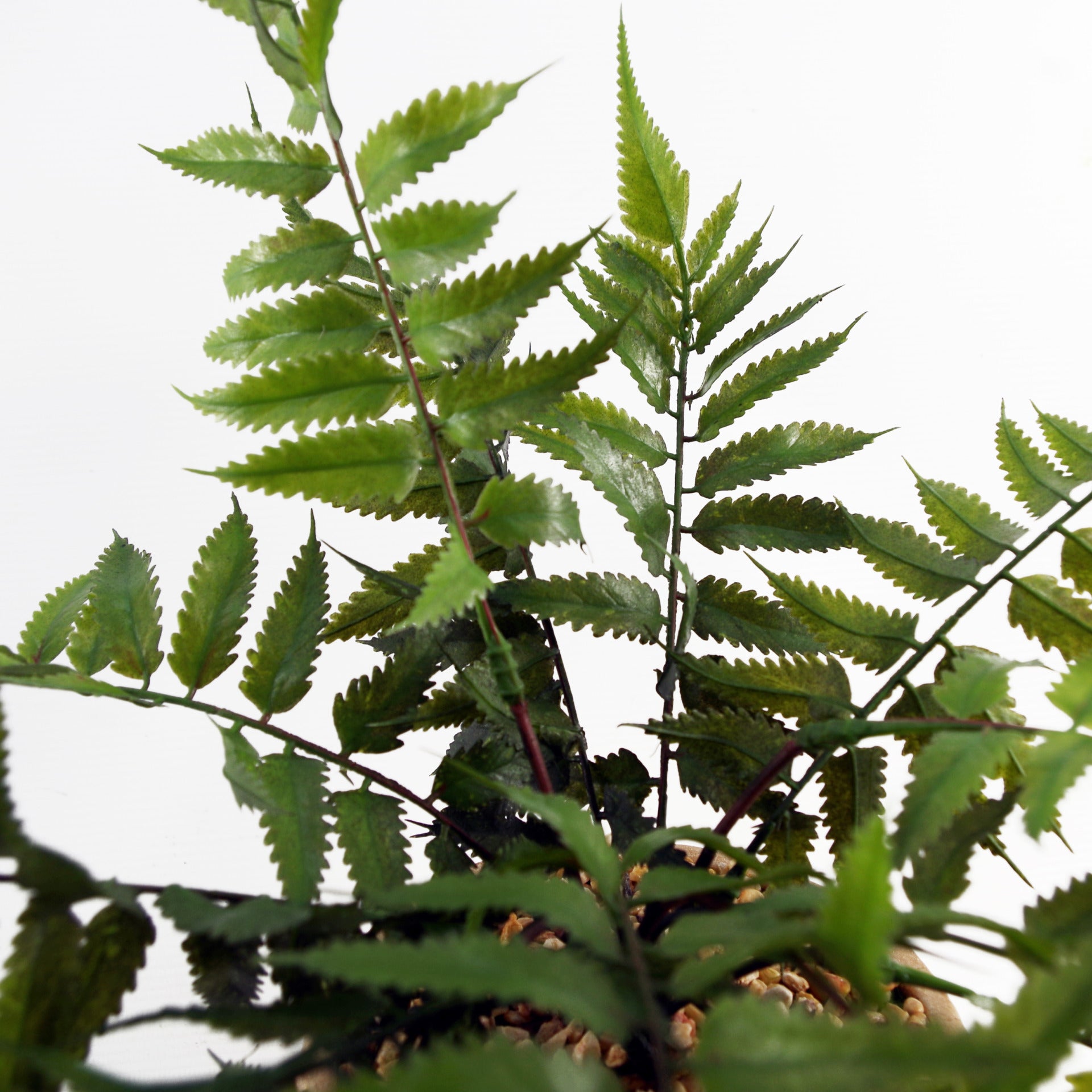 60cm Artificial Fern Plant with Metal Stand & Planter