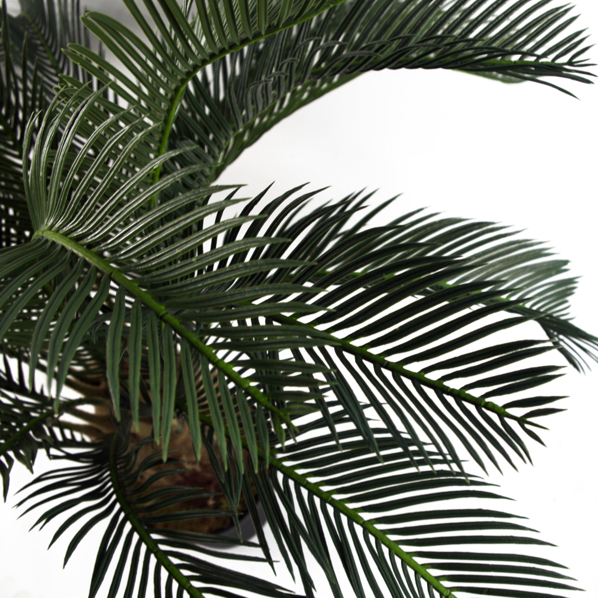 80cm Cycas Palm Plant Artificial Tropical Tree