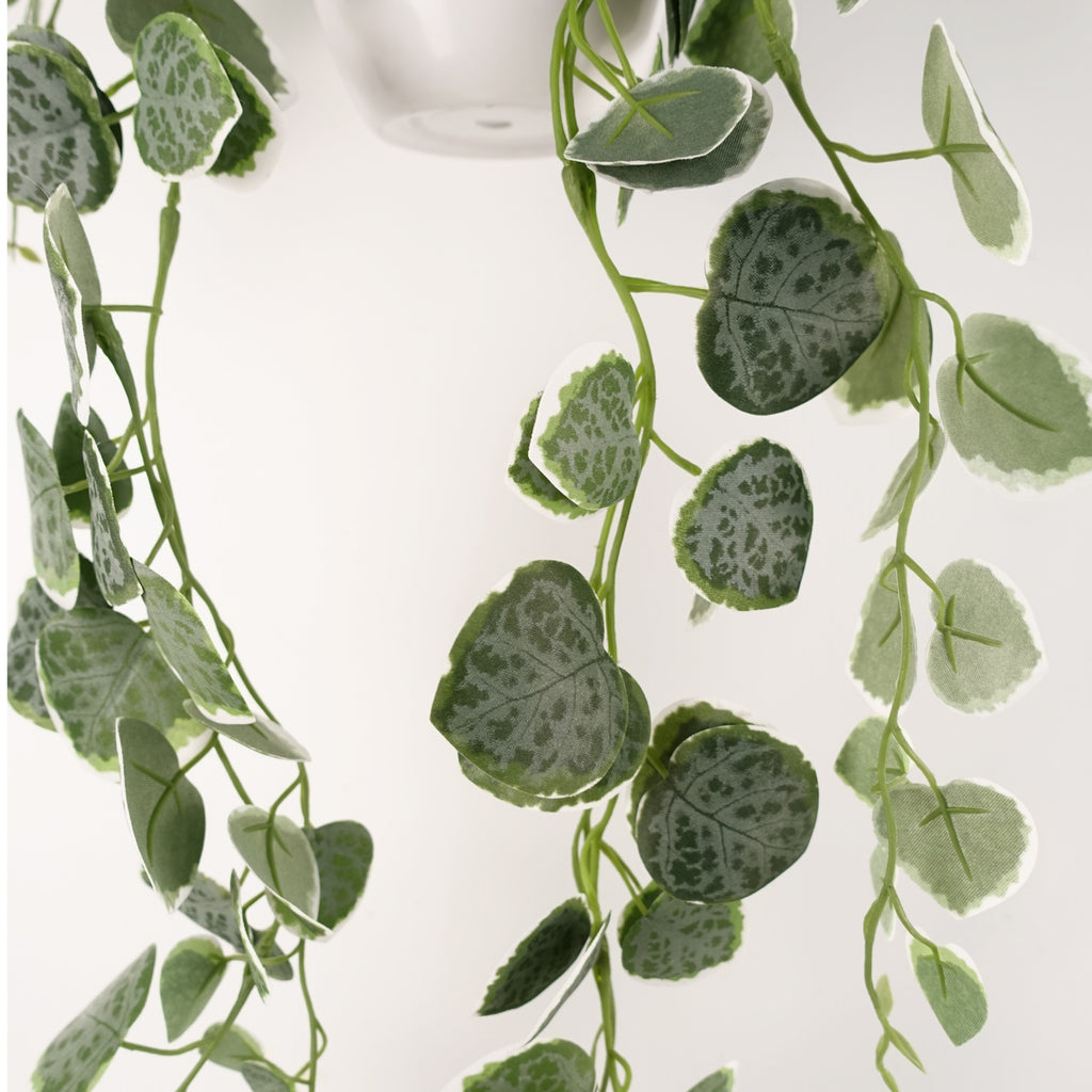 90cm Artificial Potted Hanging Trailing Green Plant - String of Hearts