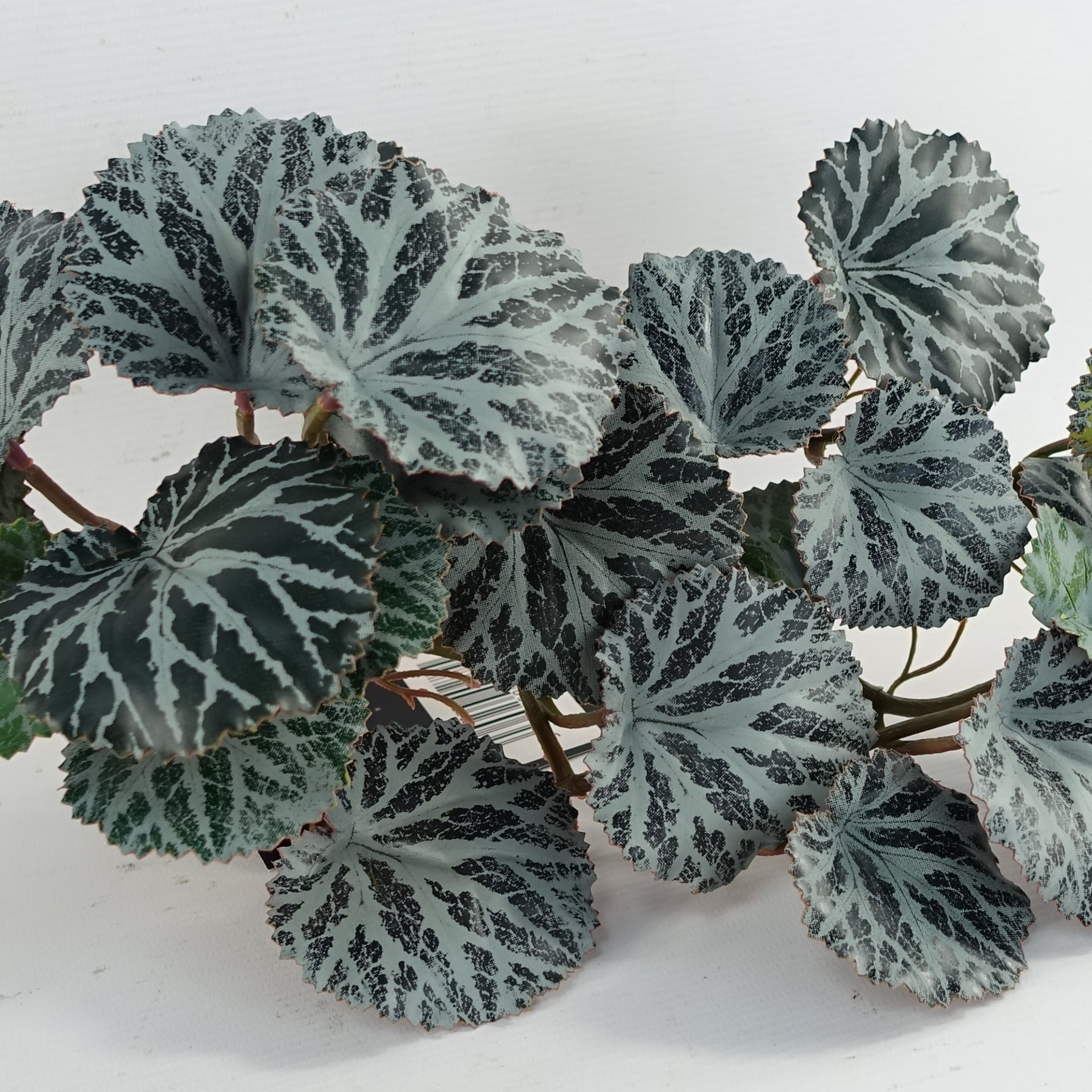 50cm Artificia Trailing Begonia Plant