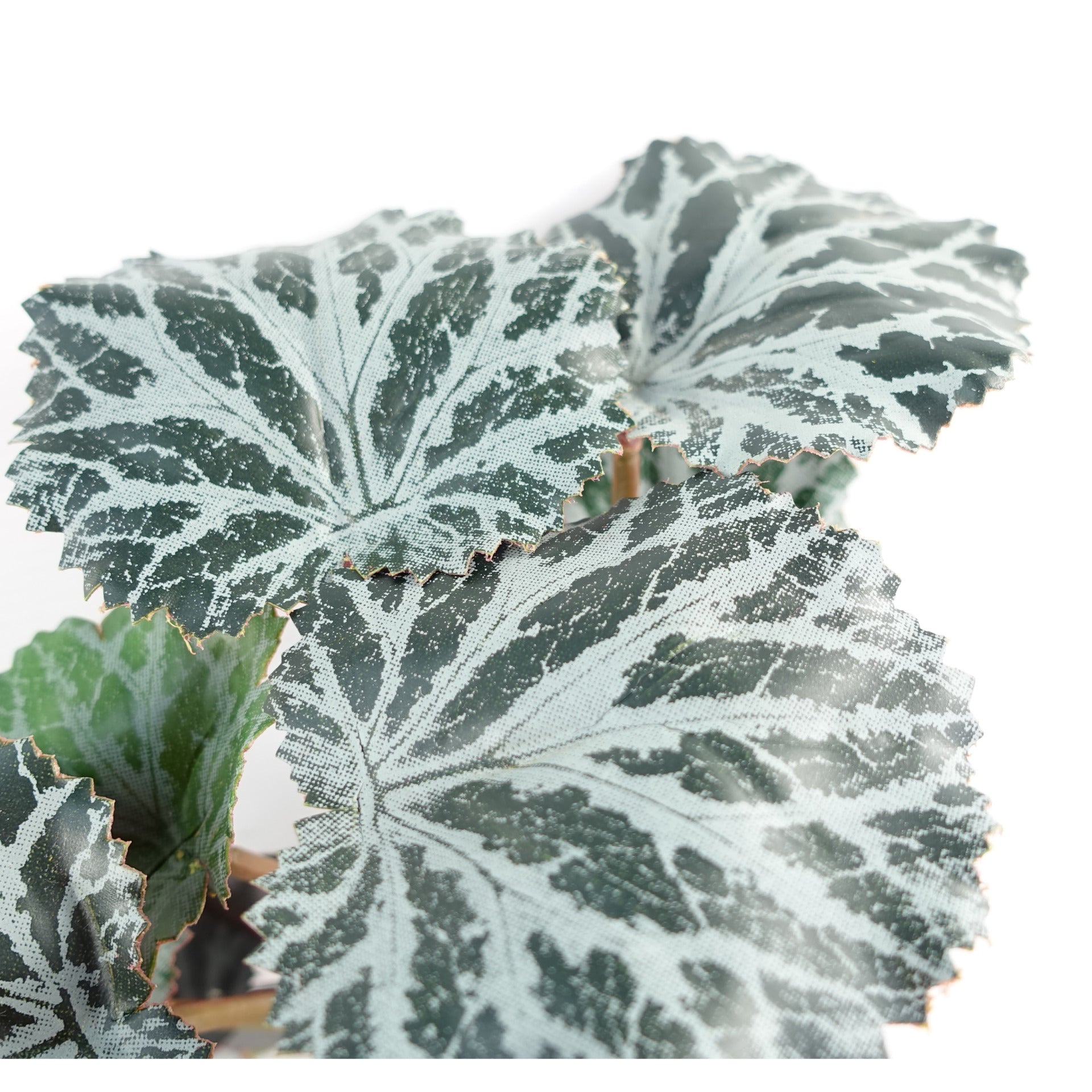 50cm Artificia Trailing Begonia Plant