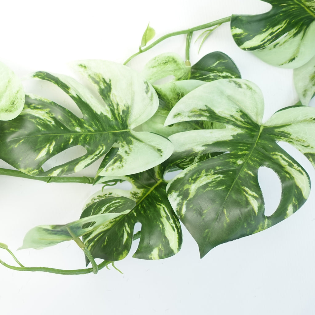 6 x 180cm Artificial Hanging Trailing Variegated Monstera Plant