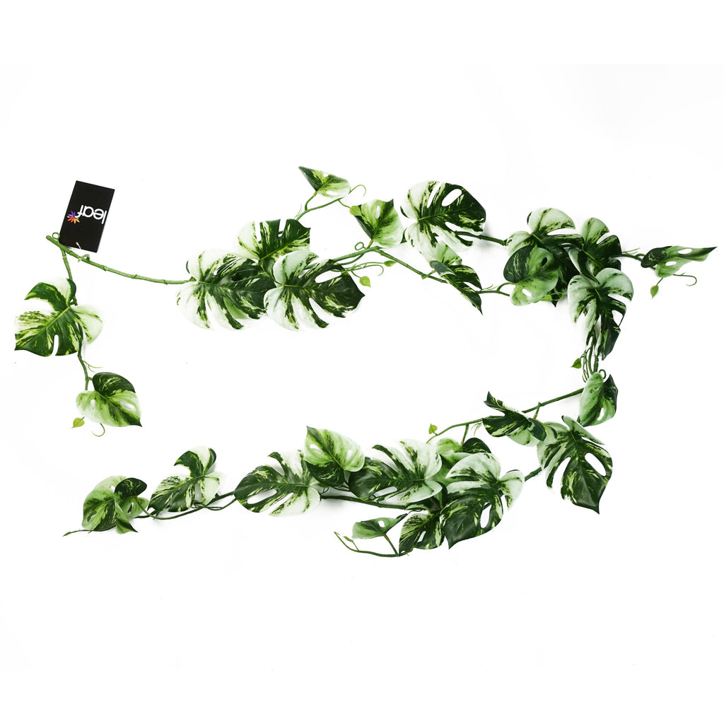6 x 180cm Artificial Hanging Trailing Variegated Monstera Plant