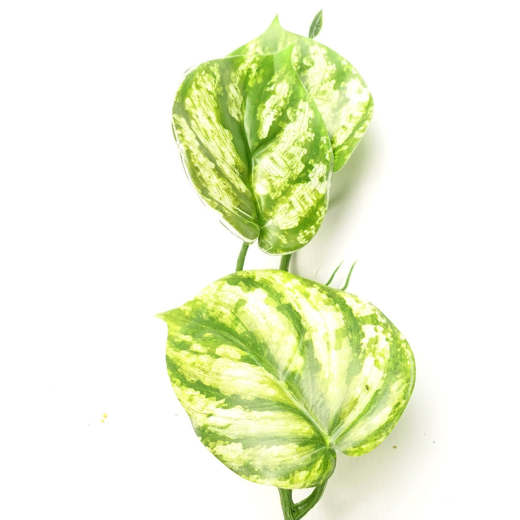 6 x 180cm Artificial Hanging Trailing Devil's Ivy Plant