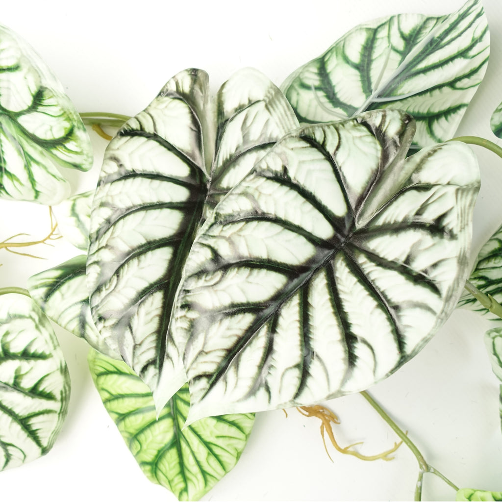 6 x 120cm Artificial Hanging Trailing Plant Alocasia Dragon Scale Light