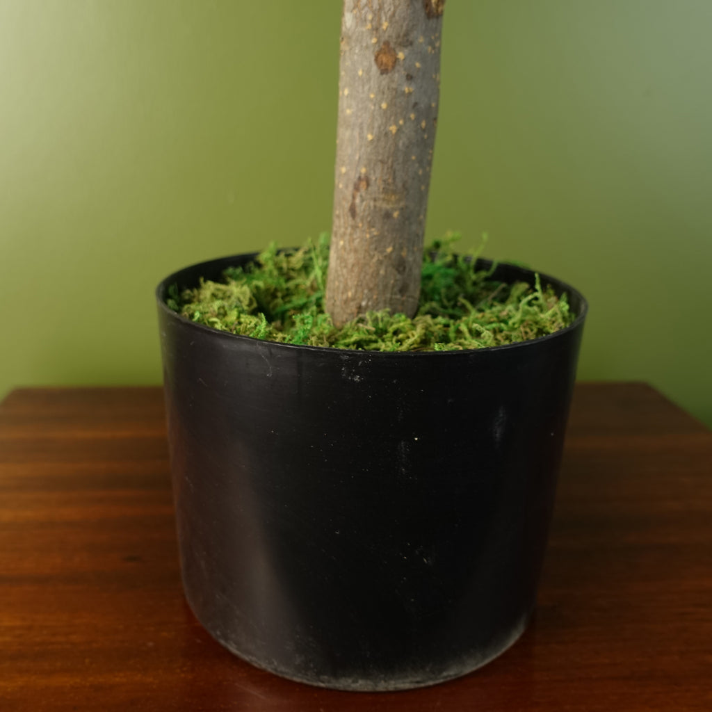Artificial Artemisa Evergreen Shrub Plant