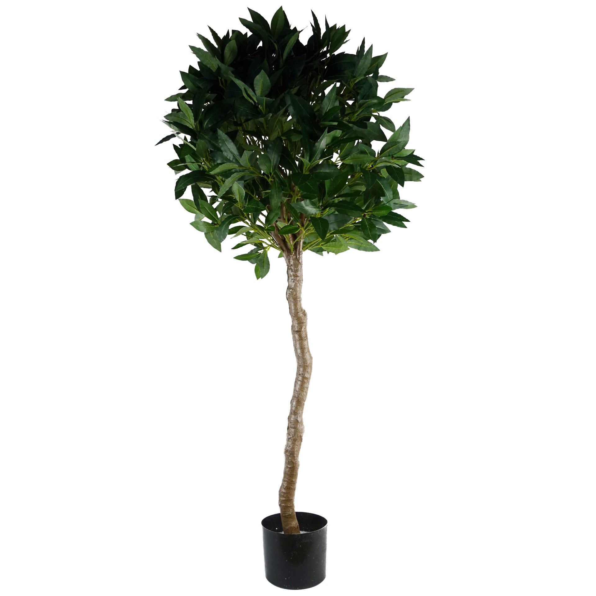 120cm Pair of UV Resistant Artificial Bay Tree with 800 Leaves