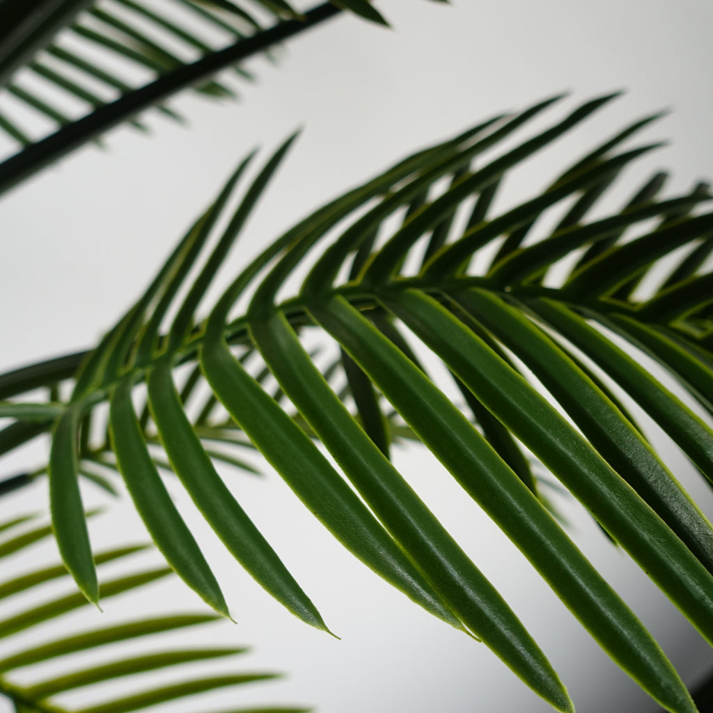 125cm UV Resistant Raphis Palm Tree with Natural Trunk