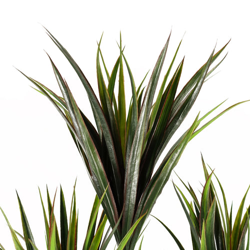 105cm UV Resistant  Yucca Tree with 179 Leaves