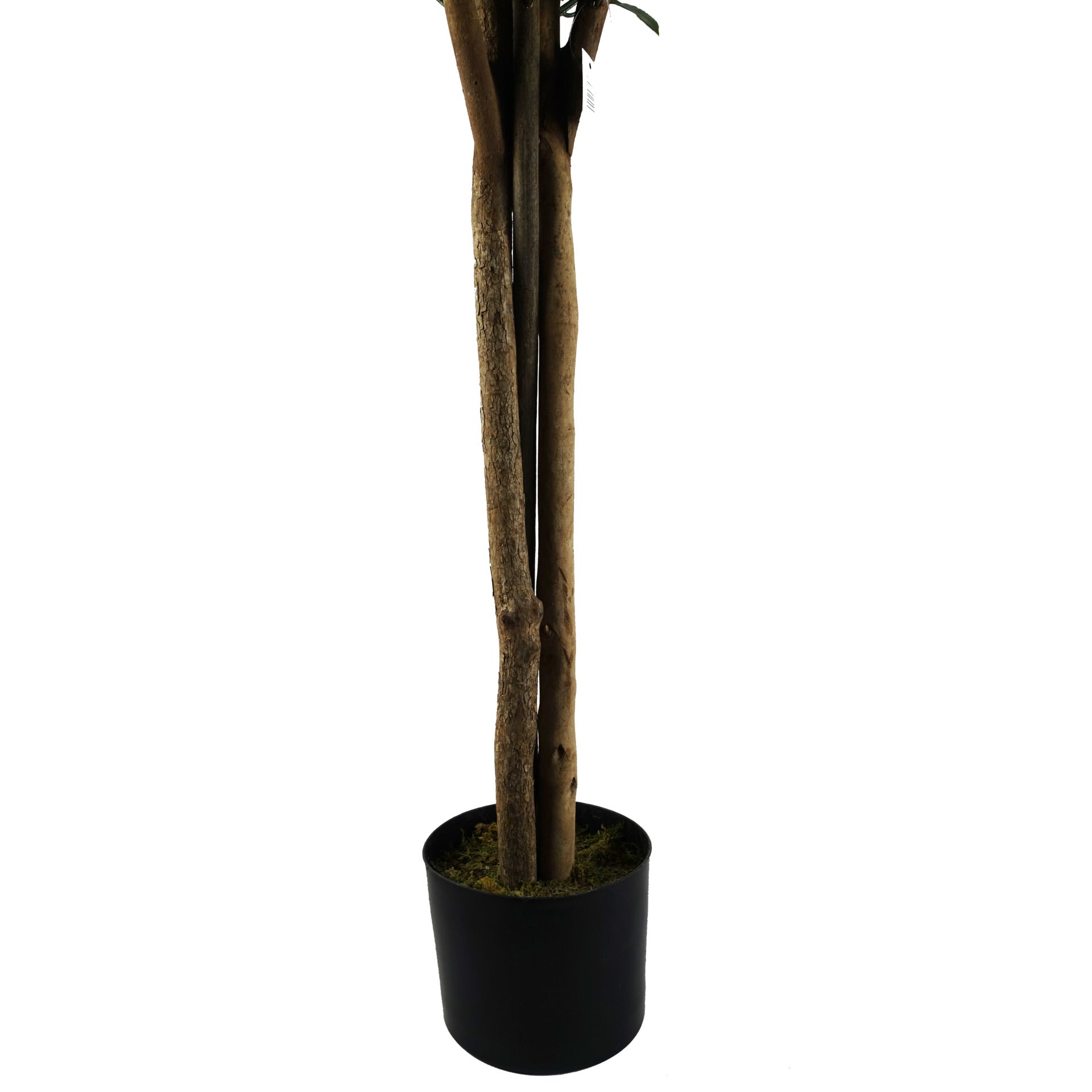 120cm Pair of Bay Trees Laurel UV Resistant Outdoor Topiary