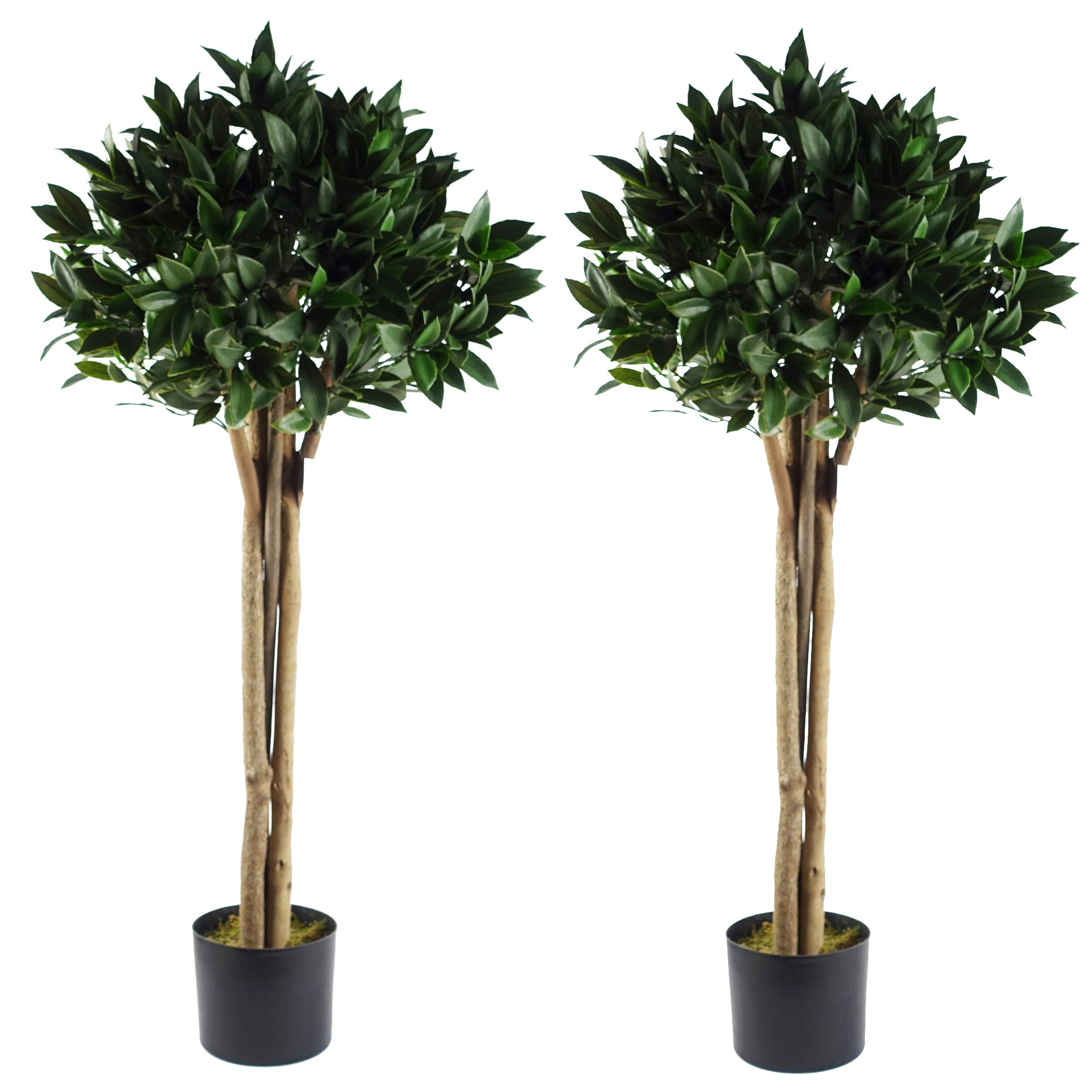 120cm Pair of Bay Trees Laurel UV Resistant Outdoor Topiary