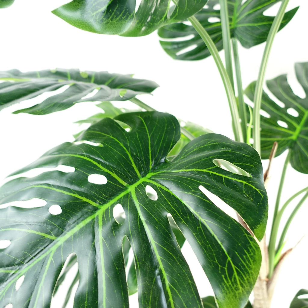 150cm (5ft) Luxury Monstera Plant Black Pot Copper Metal Planter