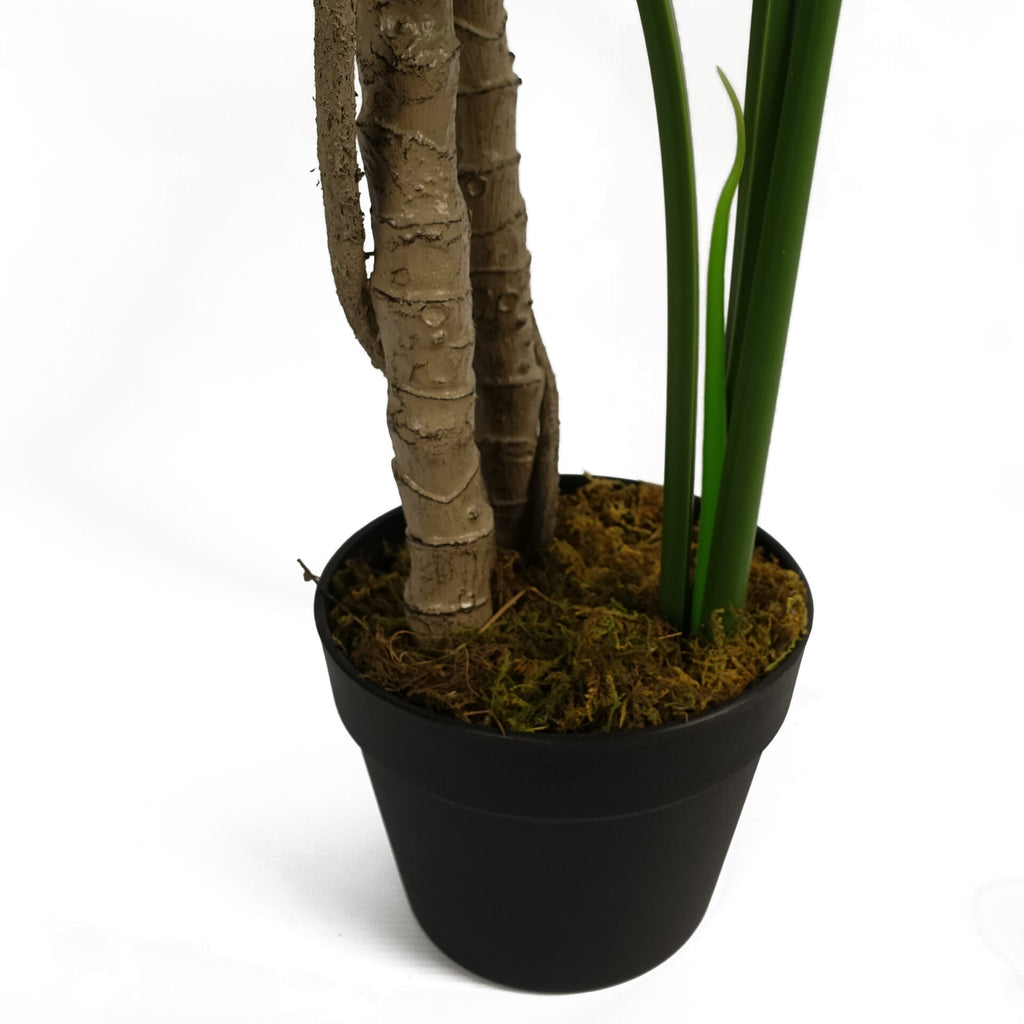 150cm (5ft) Luxury Monstera Plant Black Pot Copper Metal Planter