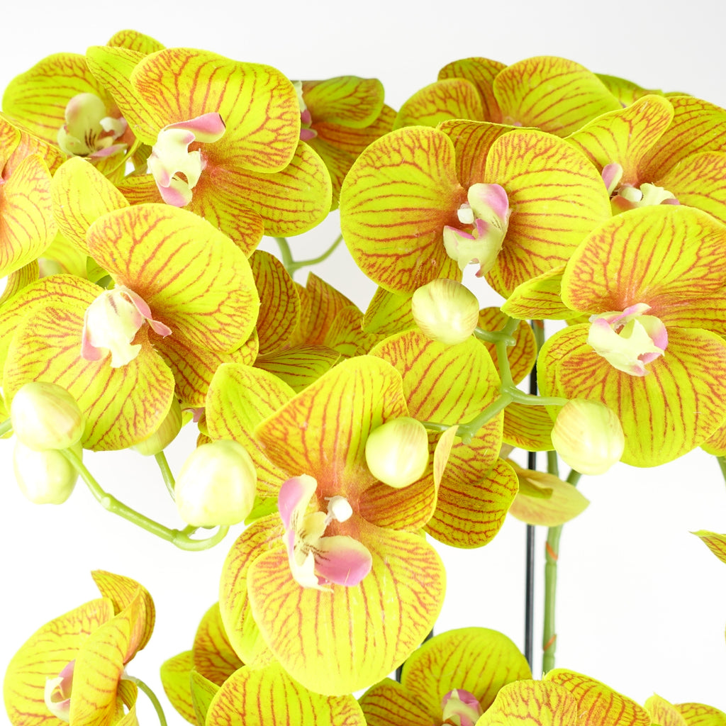 80cm Large Orchid Lime Yellow Artificial - 41 REAL TOUCH flowers