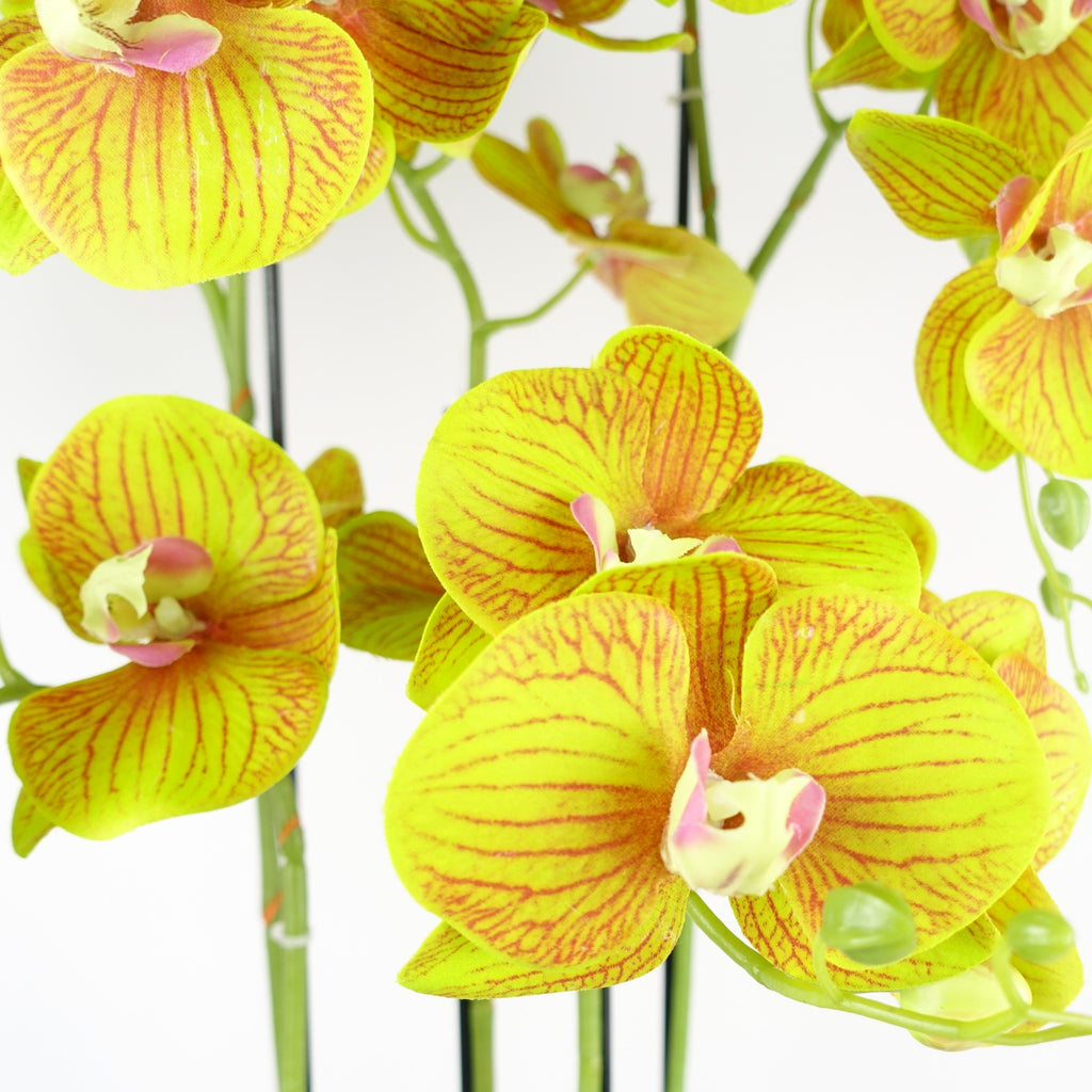 80cm Large Orchid Lime Yellow Artificial - 41 REAL TOUCH flowers