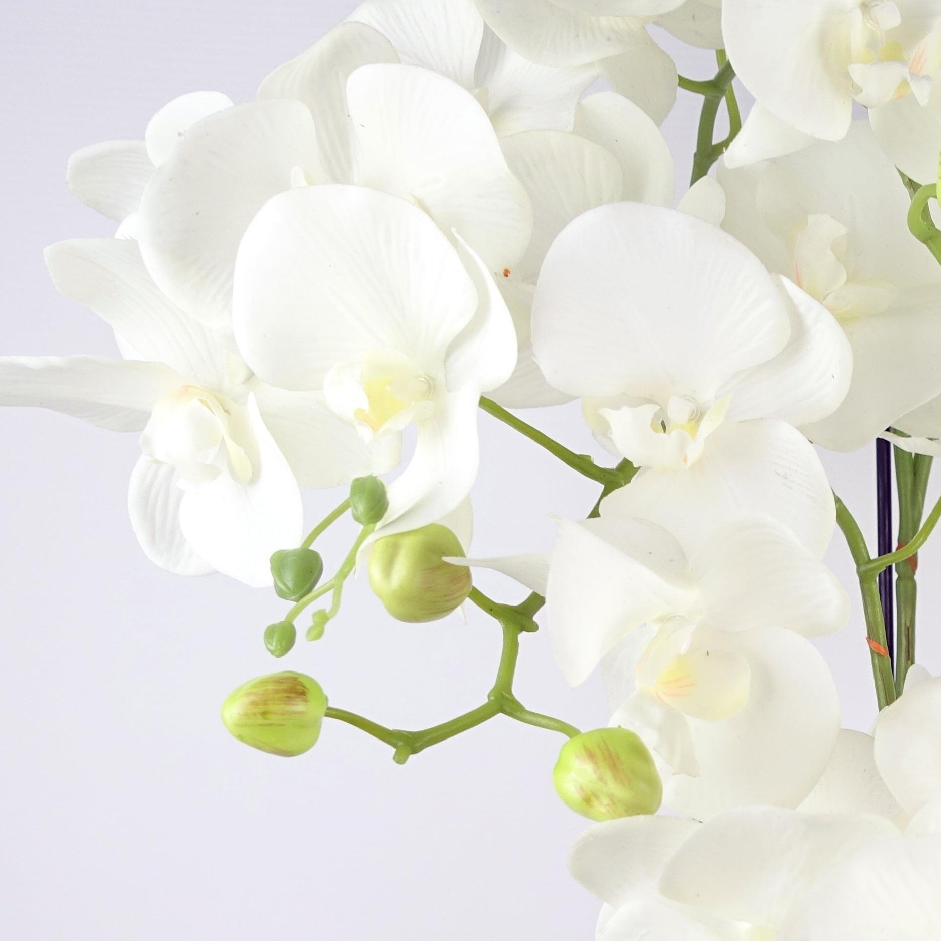 80cm Large Orchid White Artificial  - 41 REAL TOUCH flowers