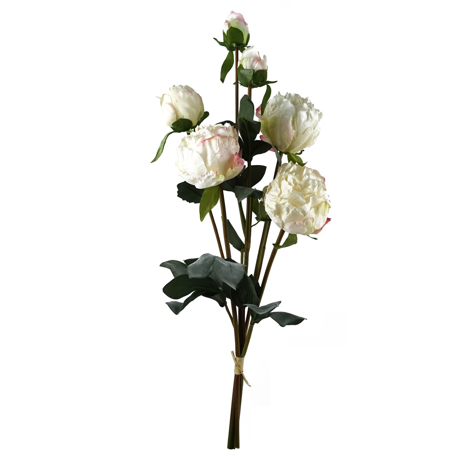 6 x 55cm Cream Peony Artificial Flower Stems