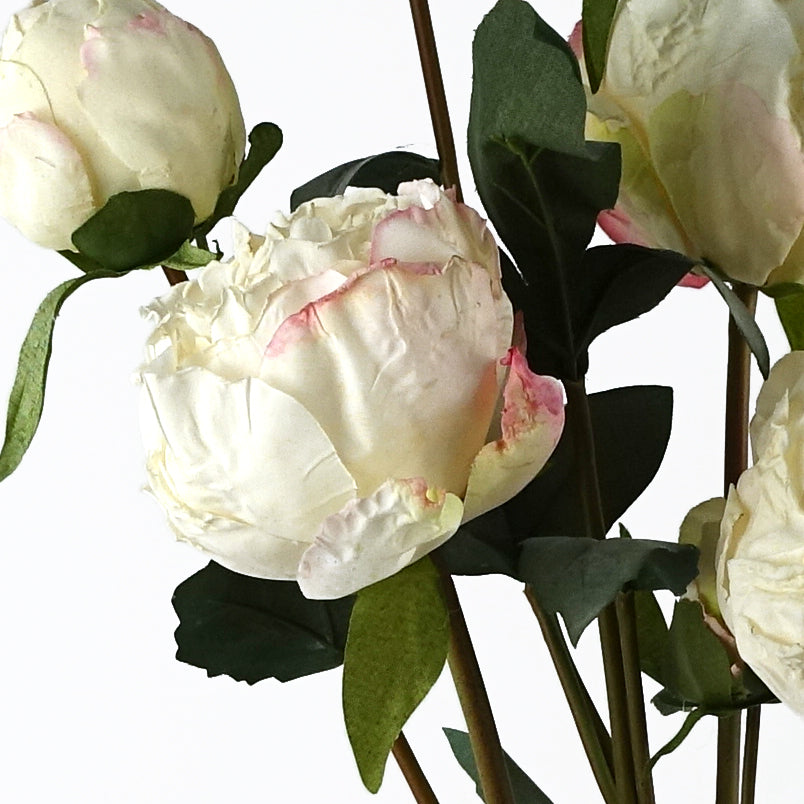 6 x 55cm Cream Peony Artificial Flower Stems