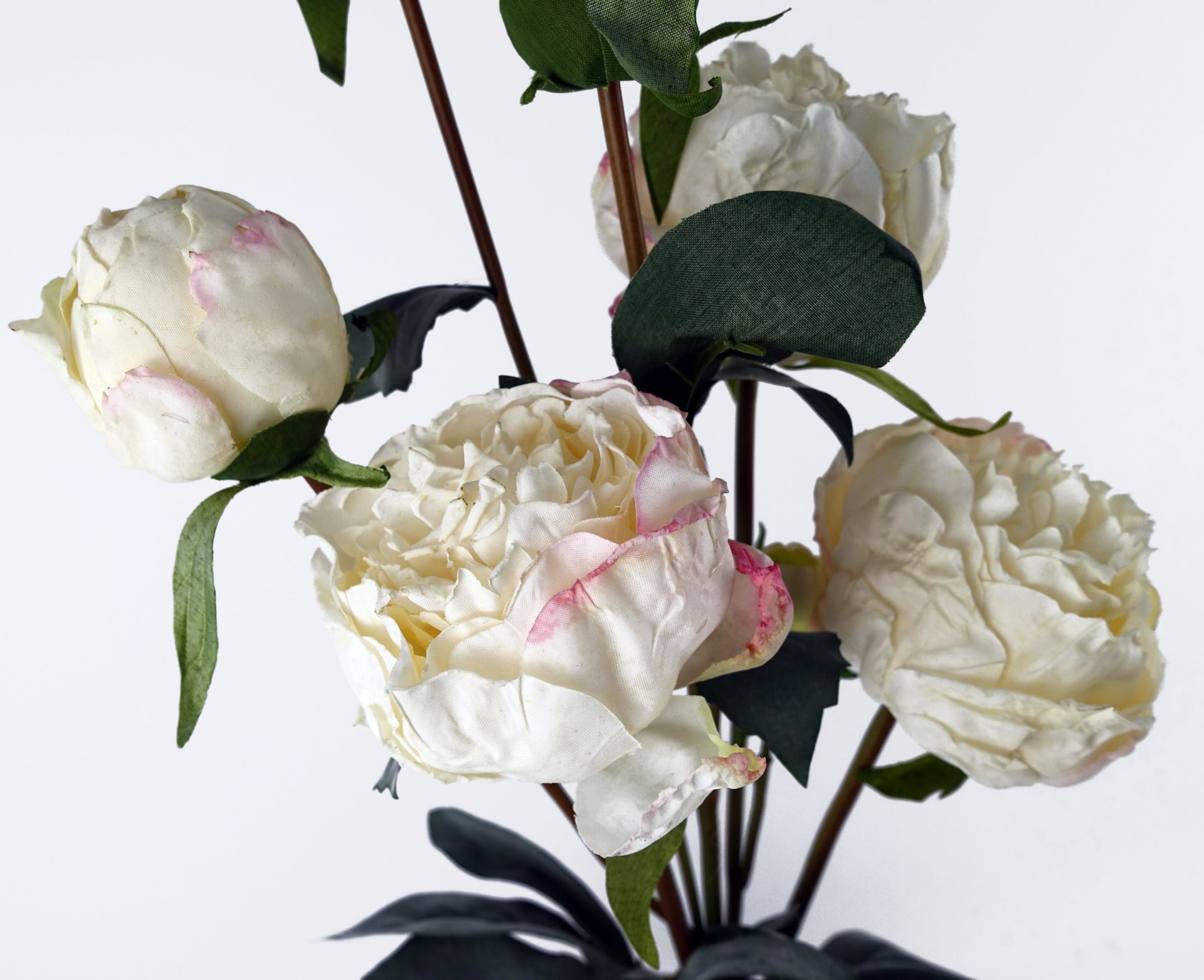 6 x 55cm Cream Peony Artificial Flower Stems