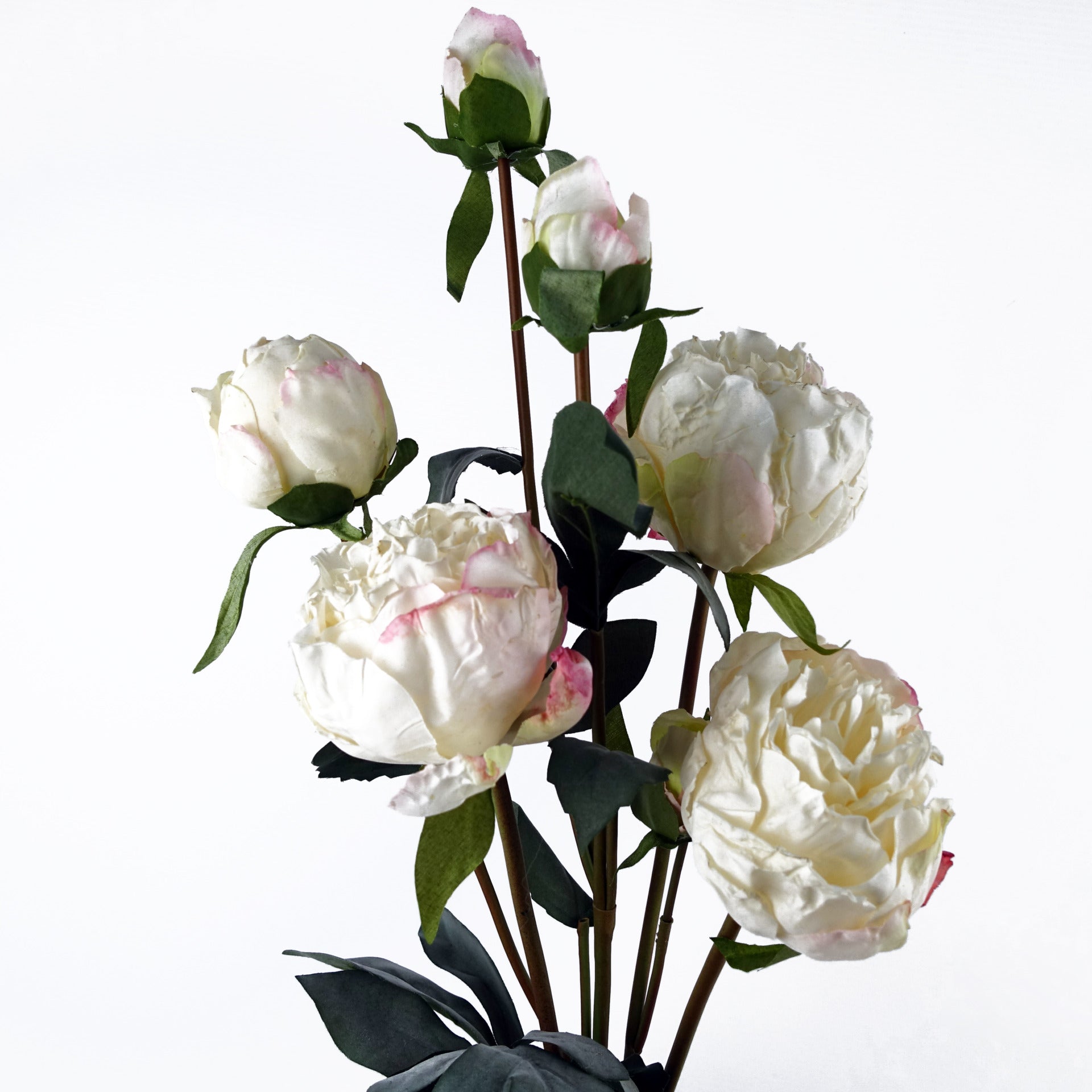 6 x 55cm Cream Peony Artificial Flower Stems