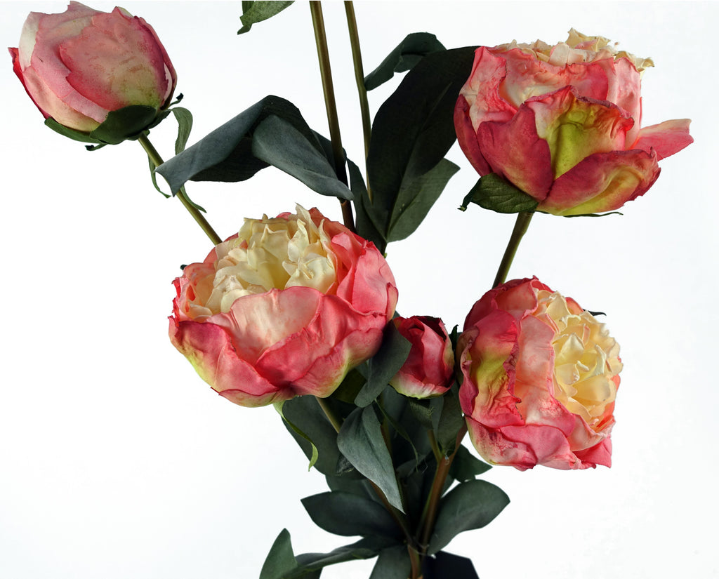 6 x 55cm Pink Peony Artificial Flower Stems