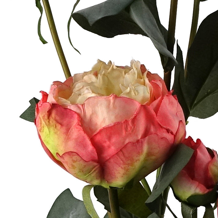 6 x 55cm Pink Peony Artificial Flower Stems