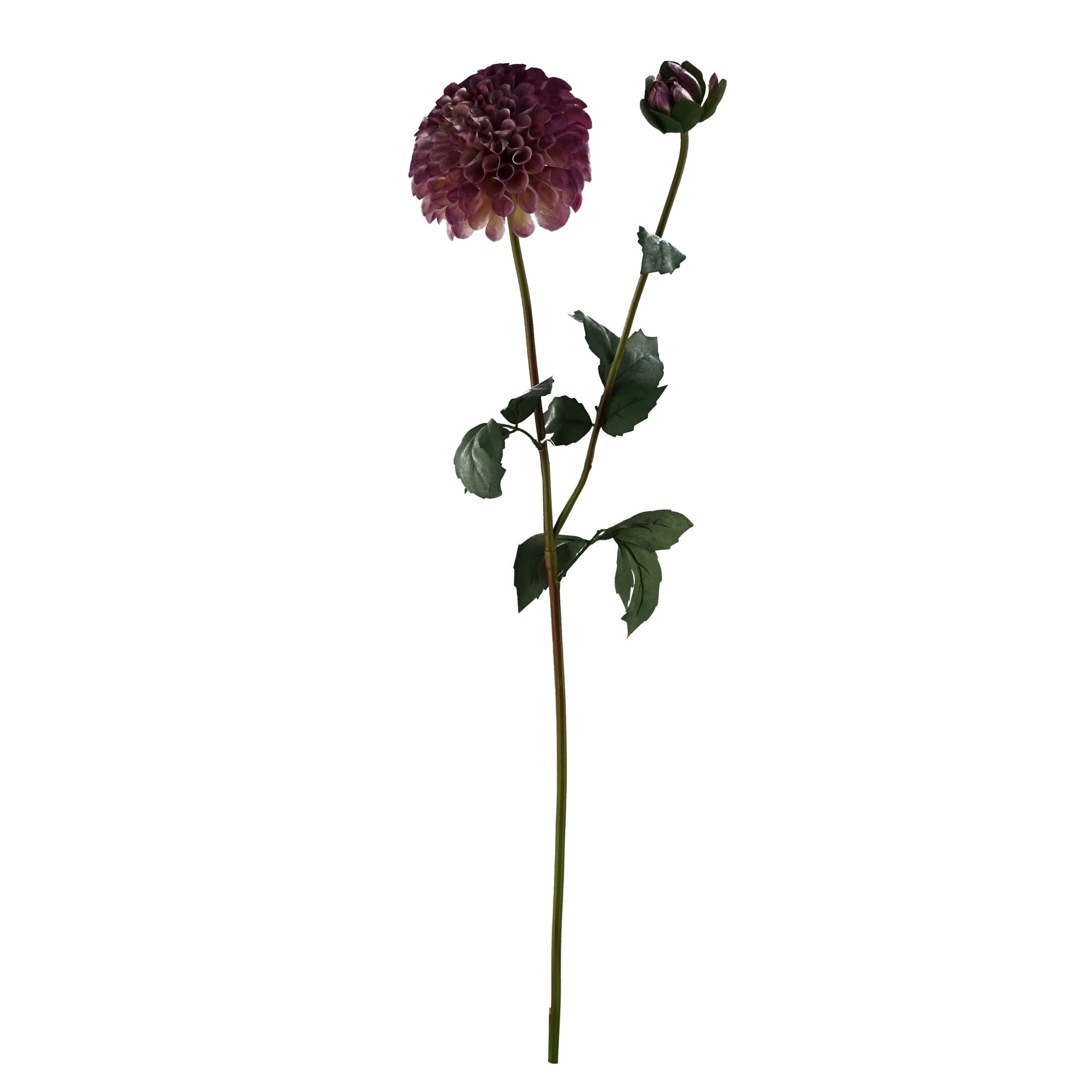 50cm Pretty Pink Dahlia Display Glass Vase