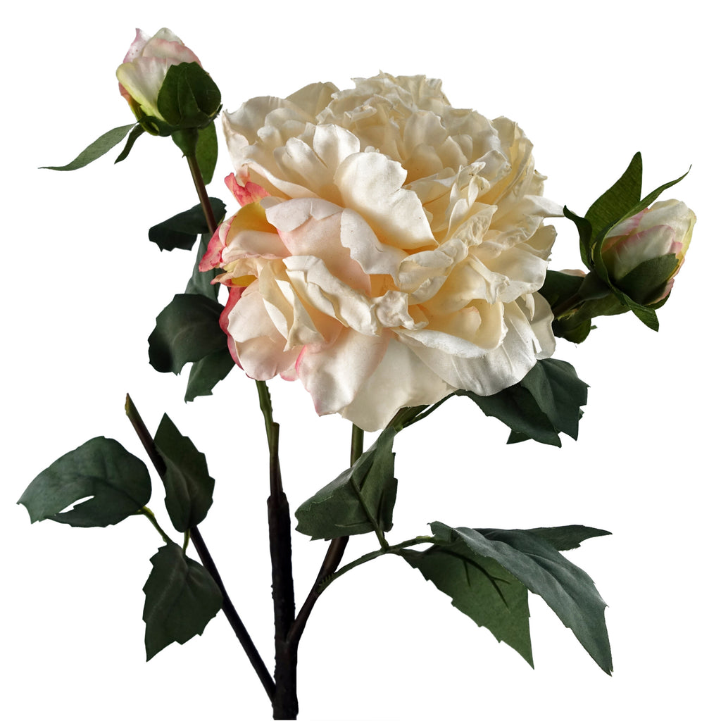 60cm Peony Artificial Flower Cream