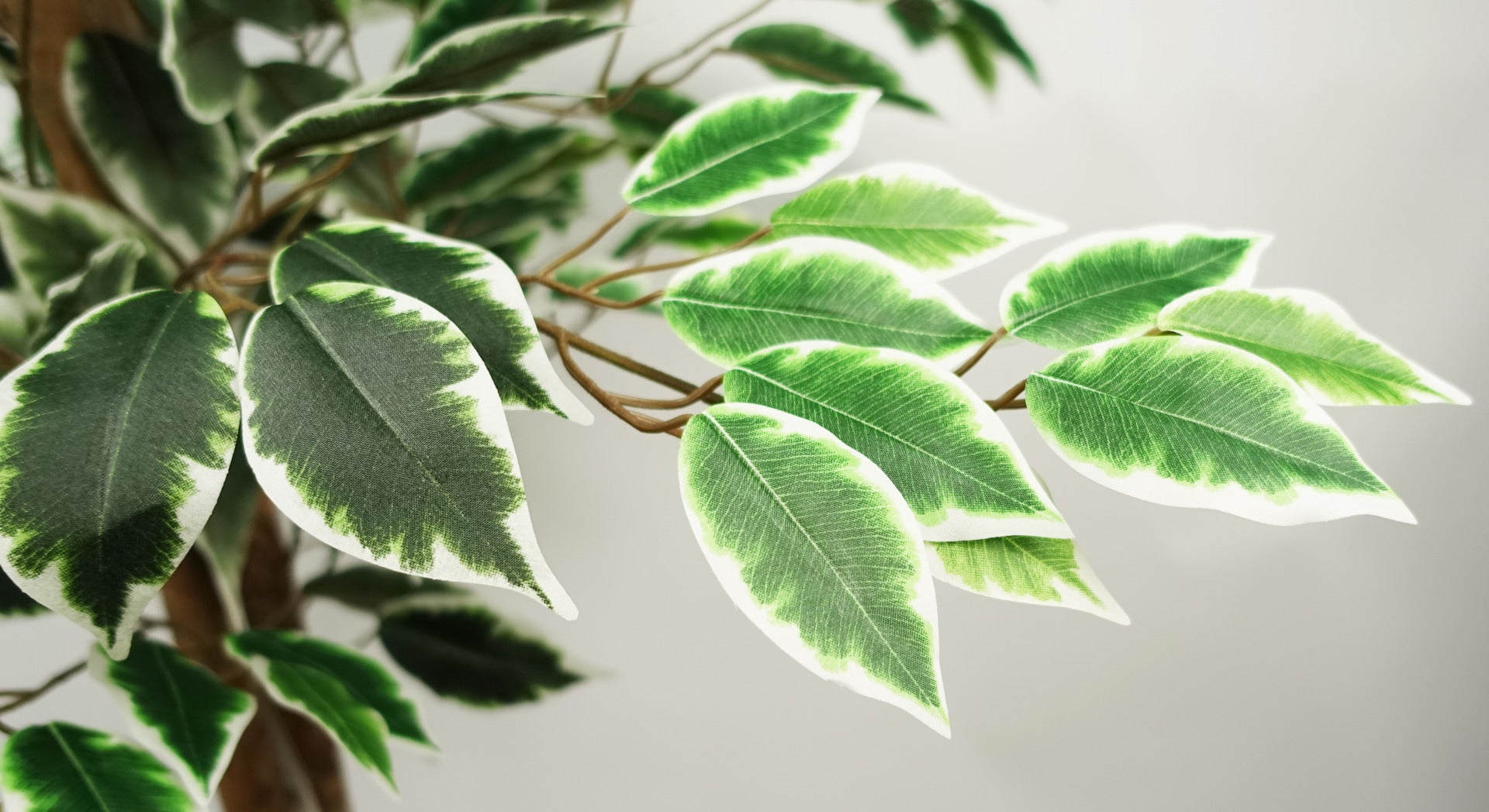 150cm Artificial Ficus Tree 1008 Silk Leaves